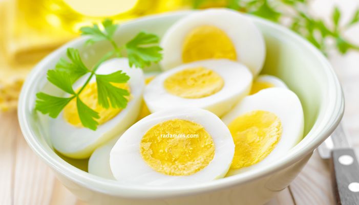 Best Diet Food